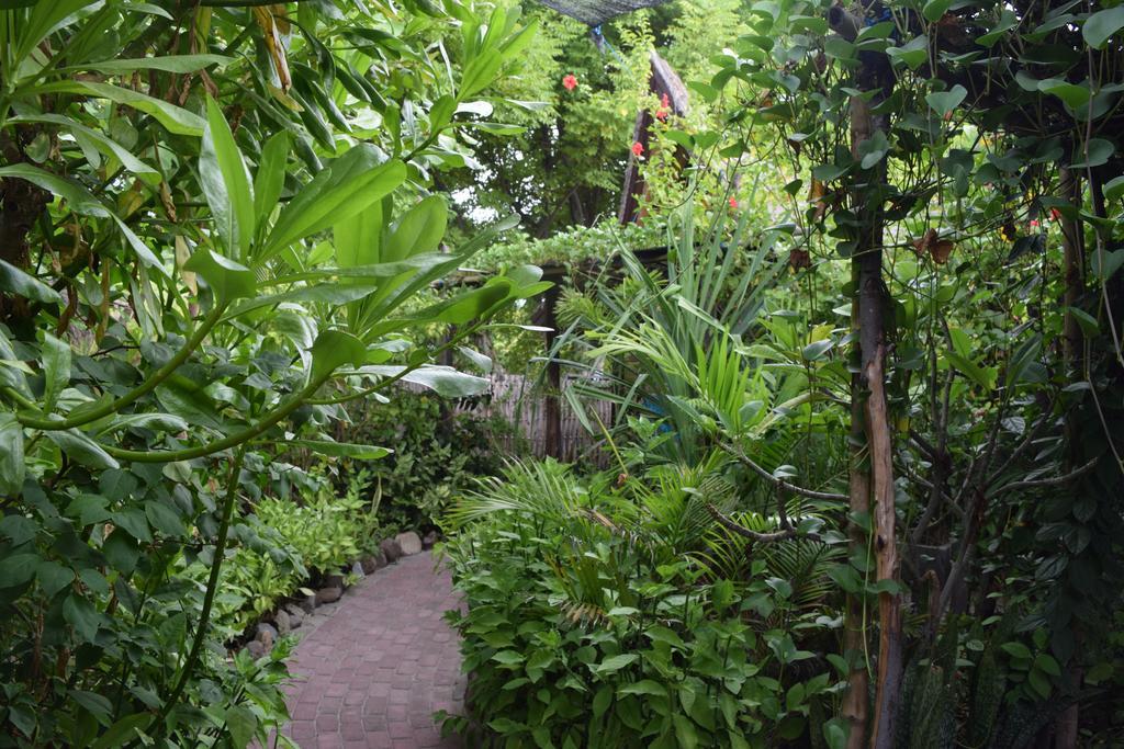 Ana Warung & Bungalows Gili Meno Esterno foto